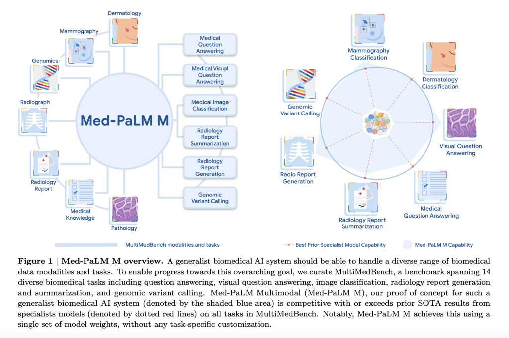 Meet Med-PaLM Multimodal (Med-PaLM M): A Large Multimodal Generative M …