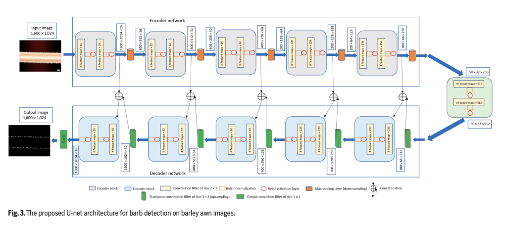 Meet BarbNet: A Specialized Deep Learning Model Designed for the Aut …