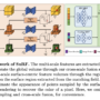 SuRF: An Unsupervised Surface-Centric Framework for High-Fidelity 3D R …