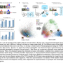 Google DeepMind Researchers Propose Human-Centric Alignment for Vision …