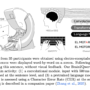 Meta AI Introduces Brain2Qwerty: A New Deep Learning Model for Decodin …