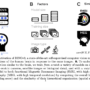 AI and the Brain: How DINOv3 Models Reveal Insights into Human Visual  …